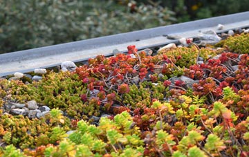 the cost of Skidbrooke North End green roof installation