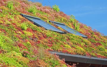 Skidbrooke North End living roof systems